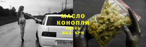 дживик Переславль-Залесский