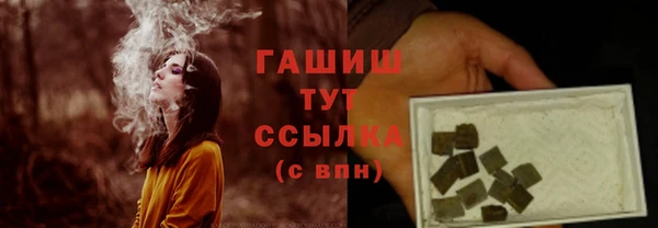 дживик Переславль-Залесский