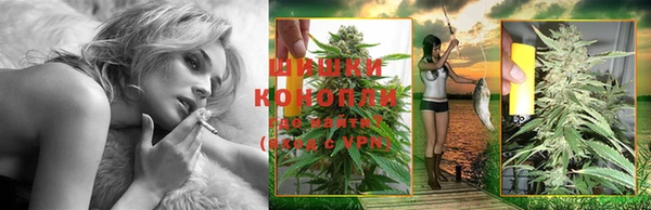 дживик Переславль-Залесский