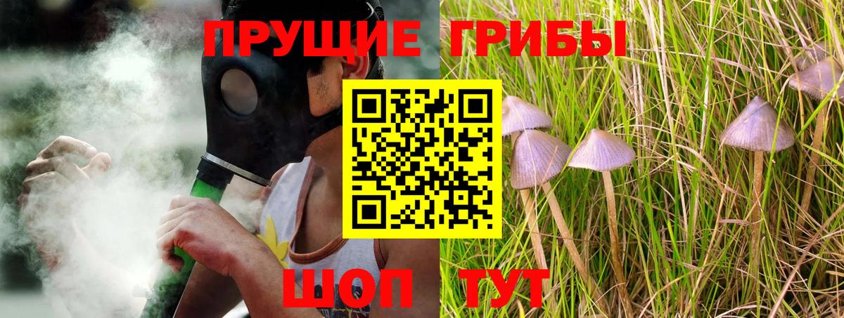 Галлюциногенные грибы мицелий Клинцы