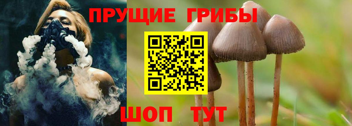 Псилоцибиновые грибы Psilocybe  Вход с VPN  Клинцы  Галлюциногенные грибы MAGIC MUSHROOMS 